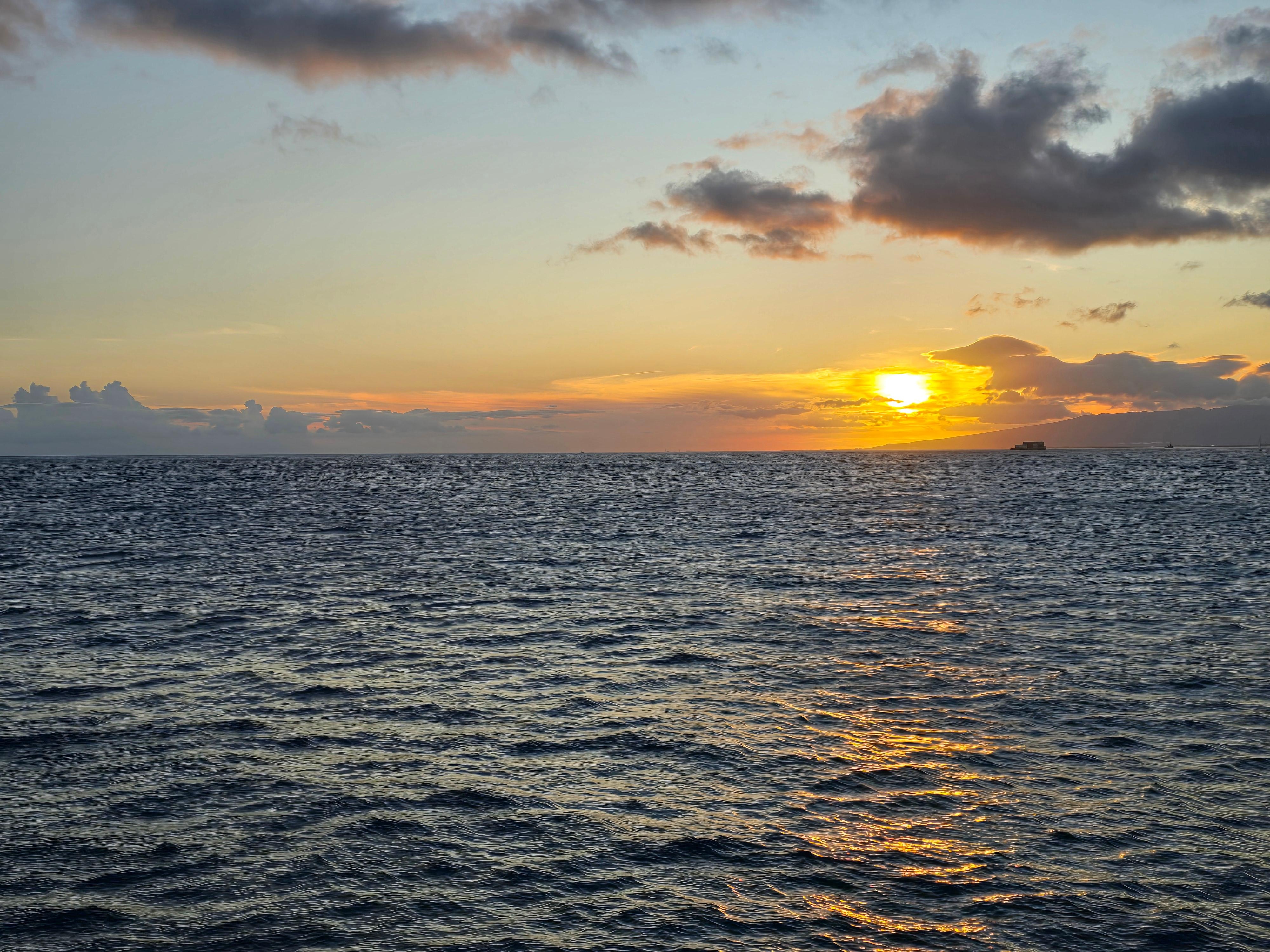 Dinner cruise