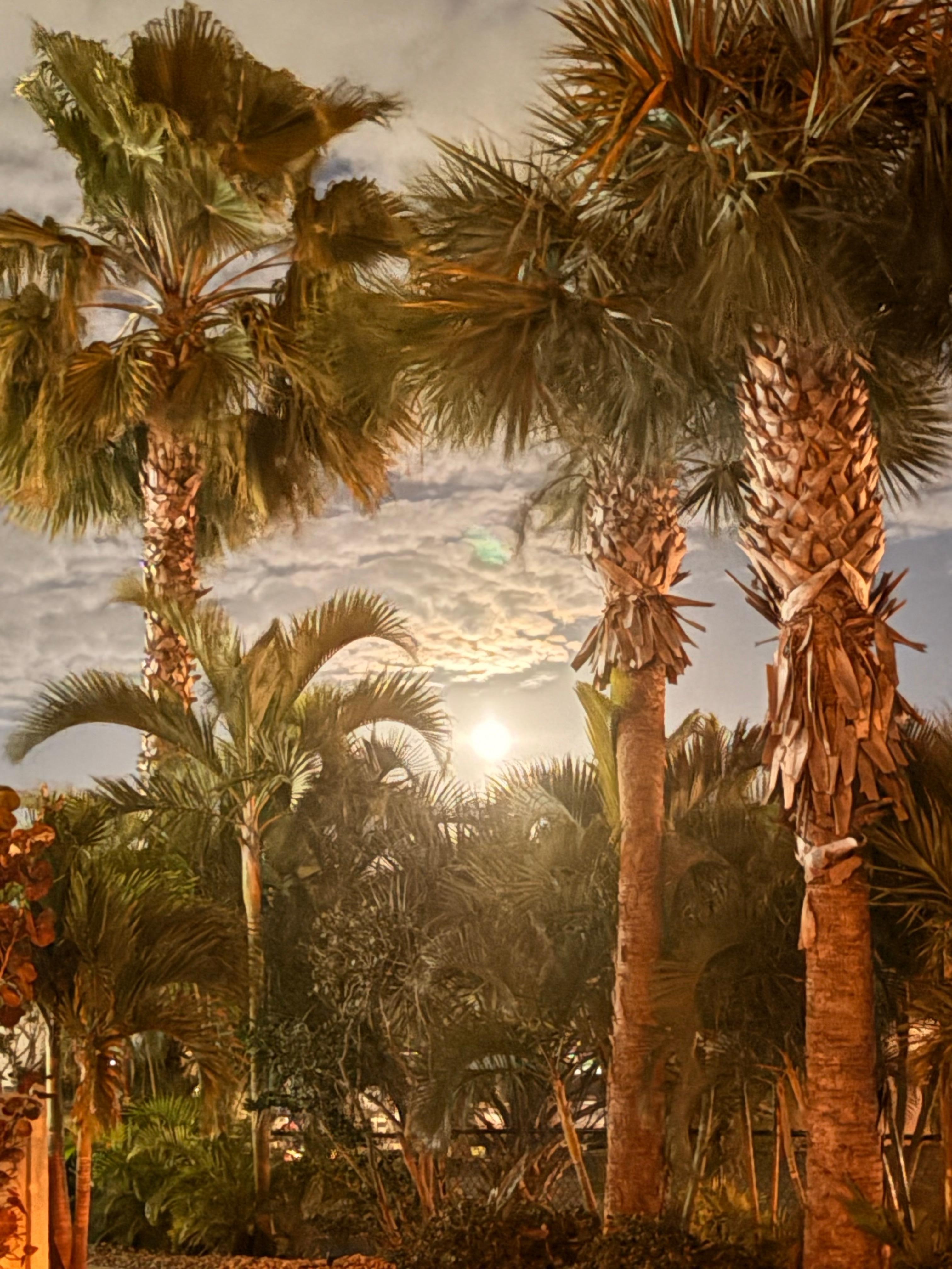 Full moon rising near the pool 