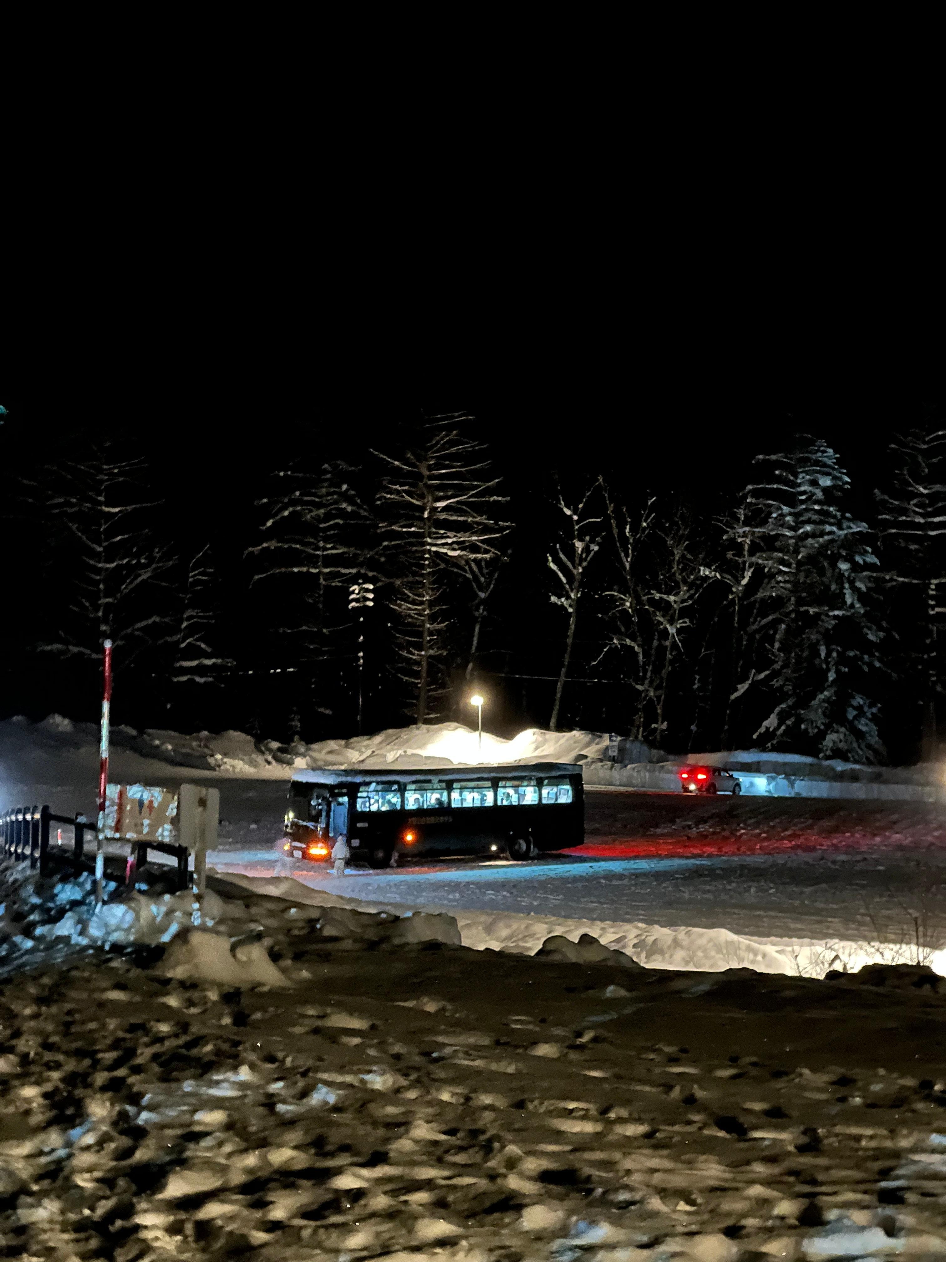 겨울에는 밤에 청의호수 라이트업 셔틀이 있습니다!!
