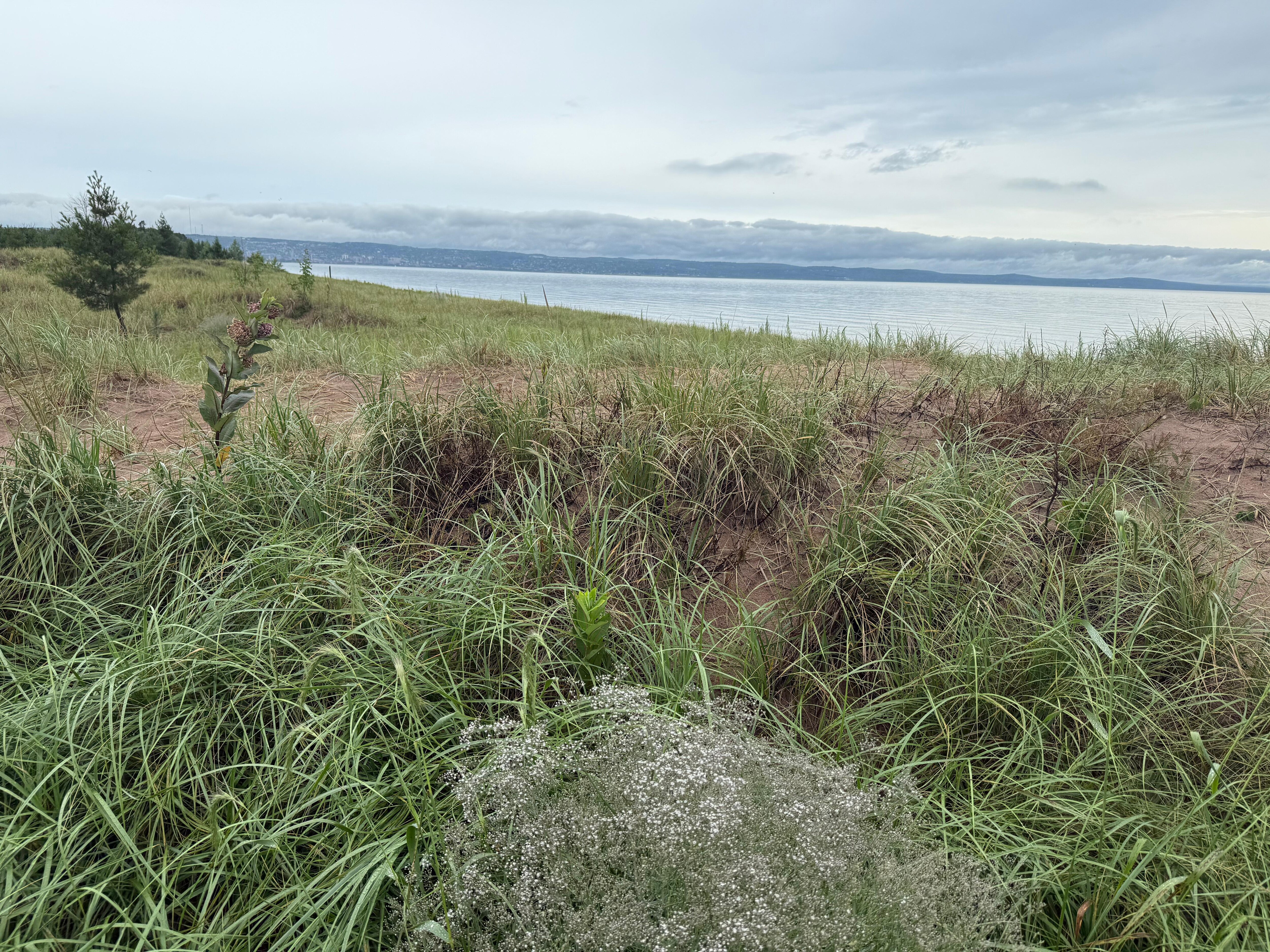 beach at park point 