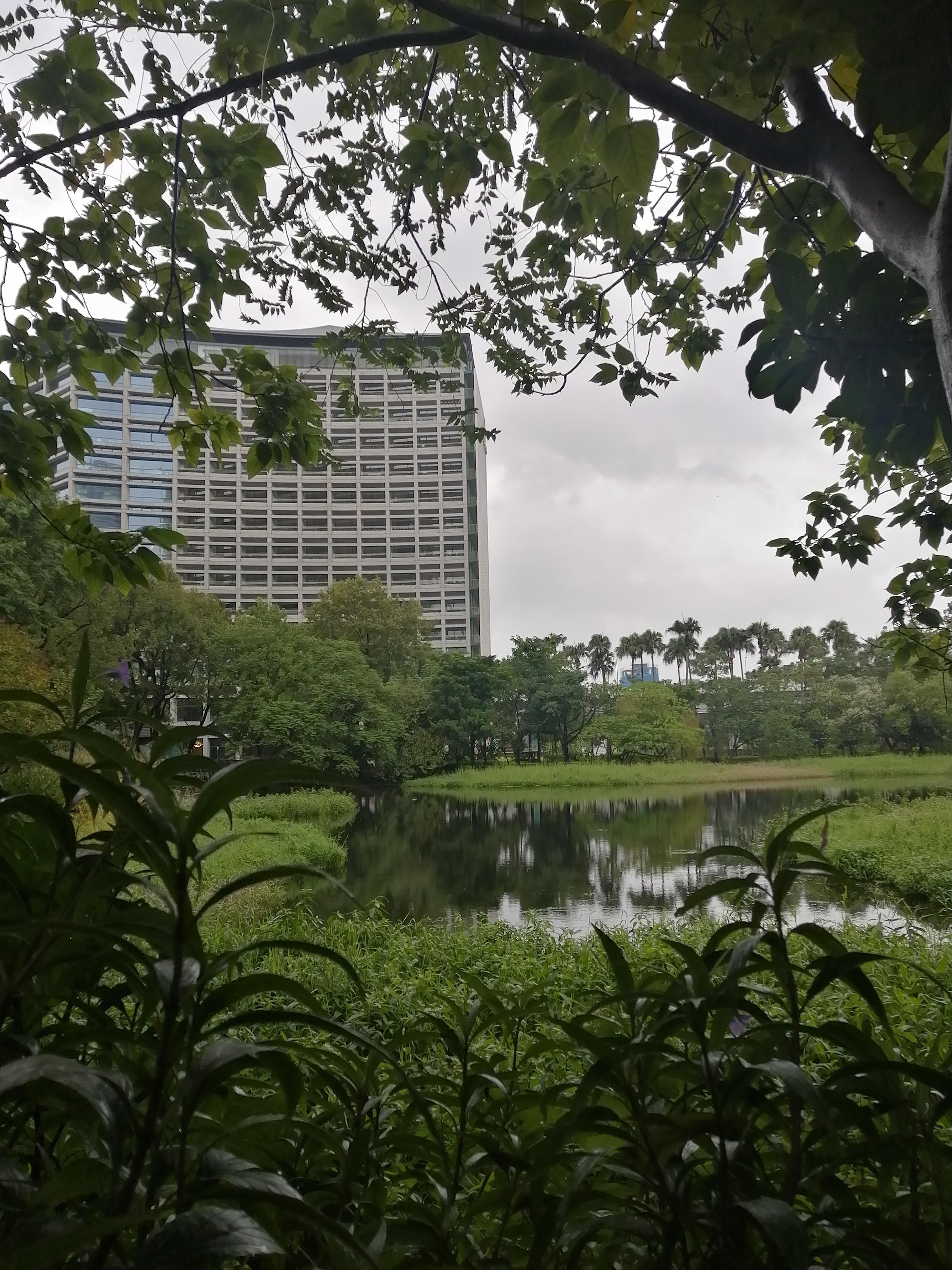 Eslite hotel from the garden with amazing bird souds