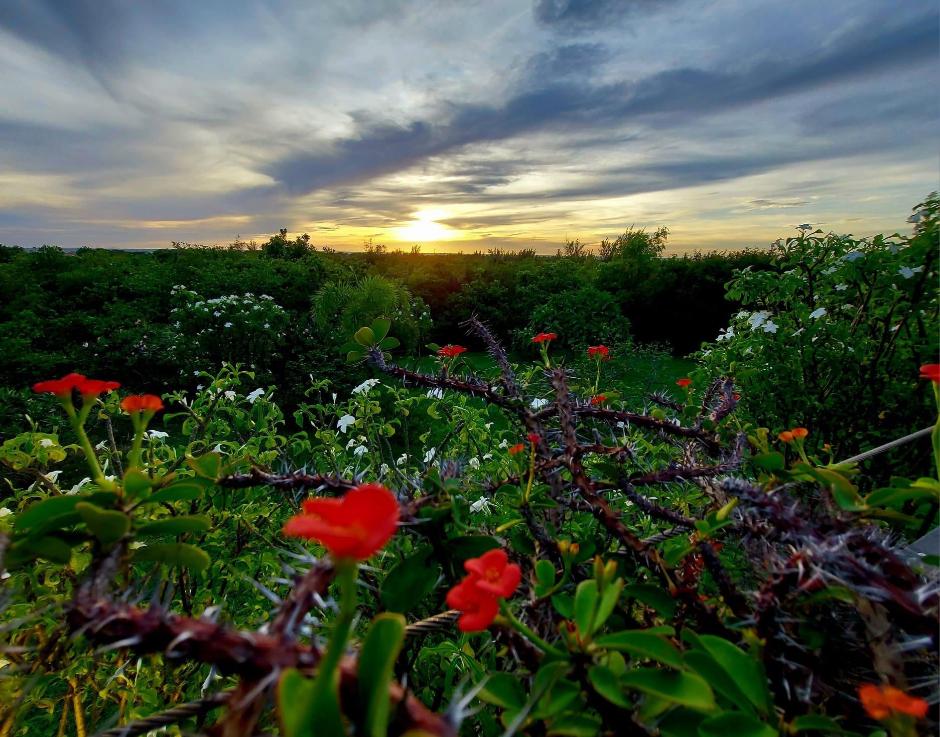 All of these photos were taken at this beautiful villa. <3