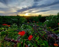All of these photos were taken at this beautiful villa. <3