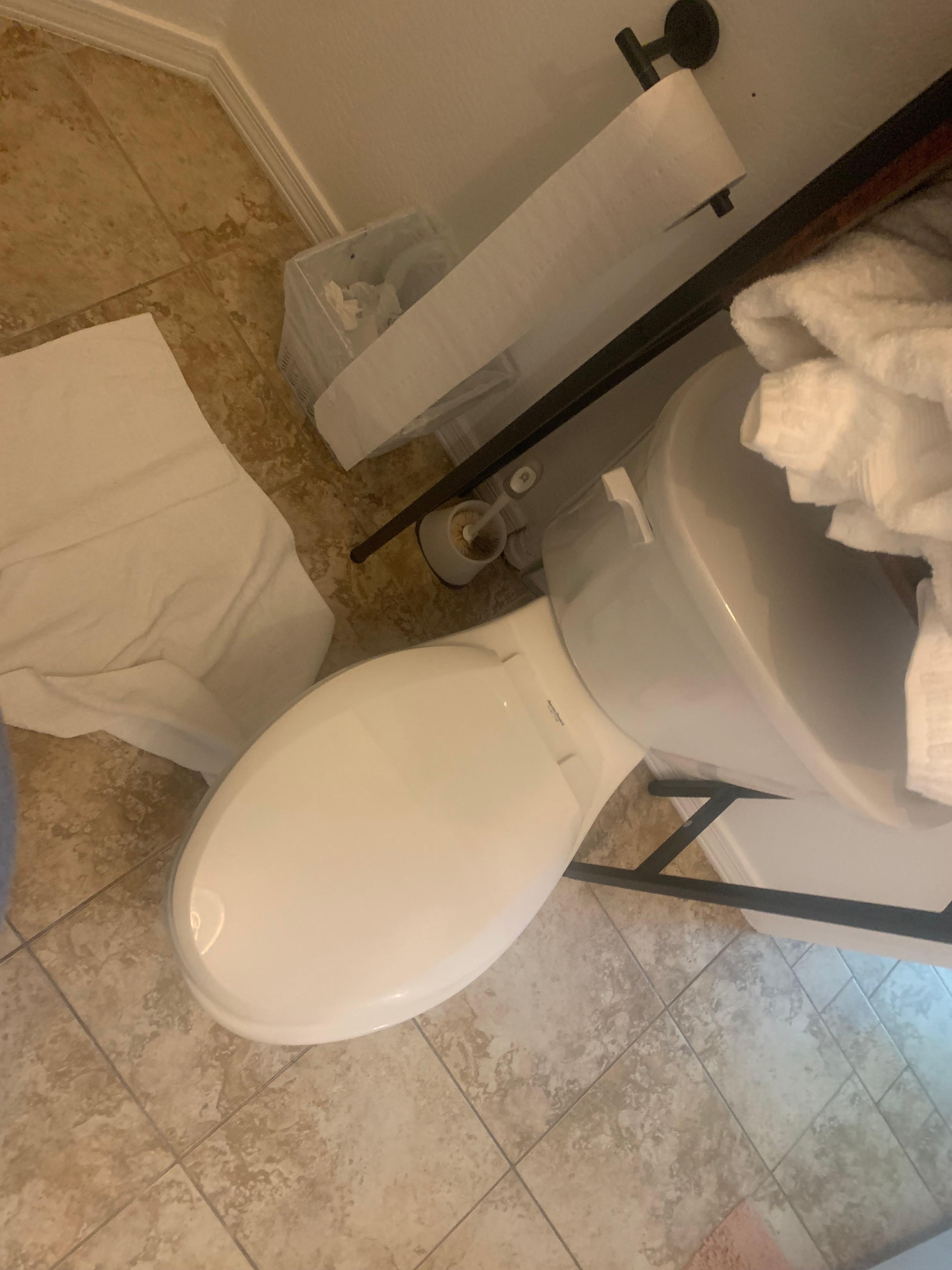 Dirty bathroom brushes (rugs also nasty but in a video)