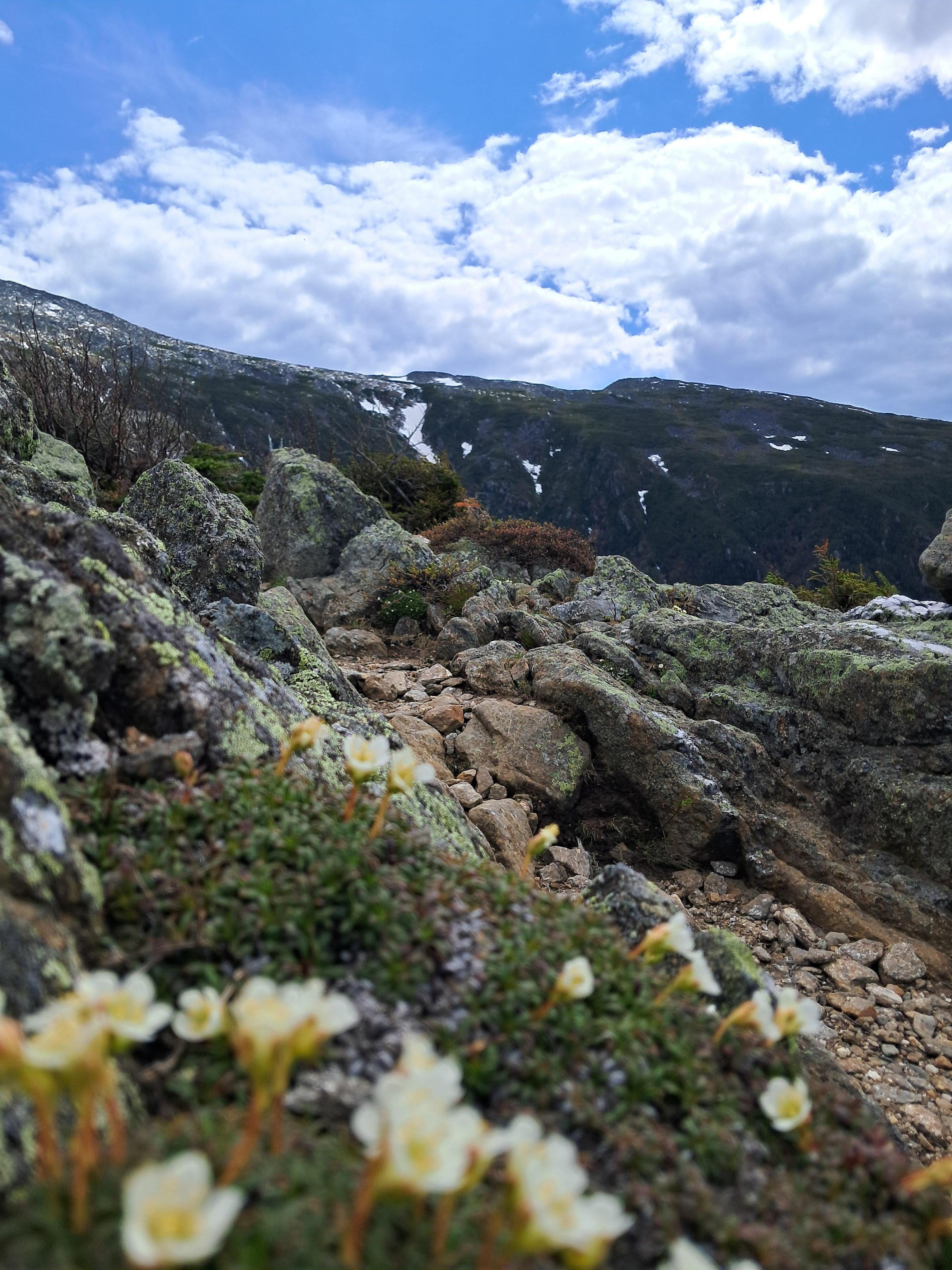 The trailhead that leads to this and so many other incredible views is 10 minutes at most from your door & these same heights can be viewed clearly from the cabins property. Like you're sitting right under it. Stunning. 