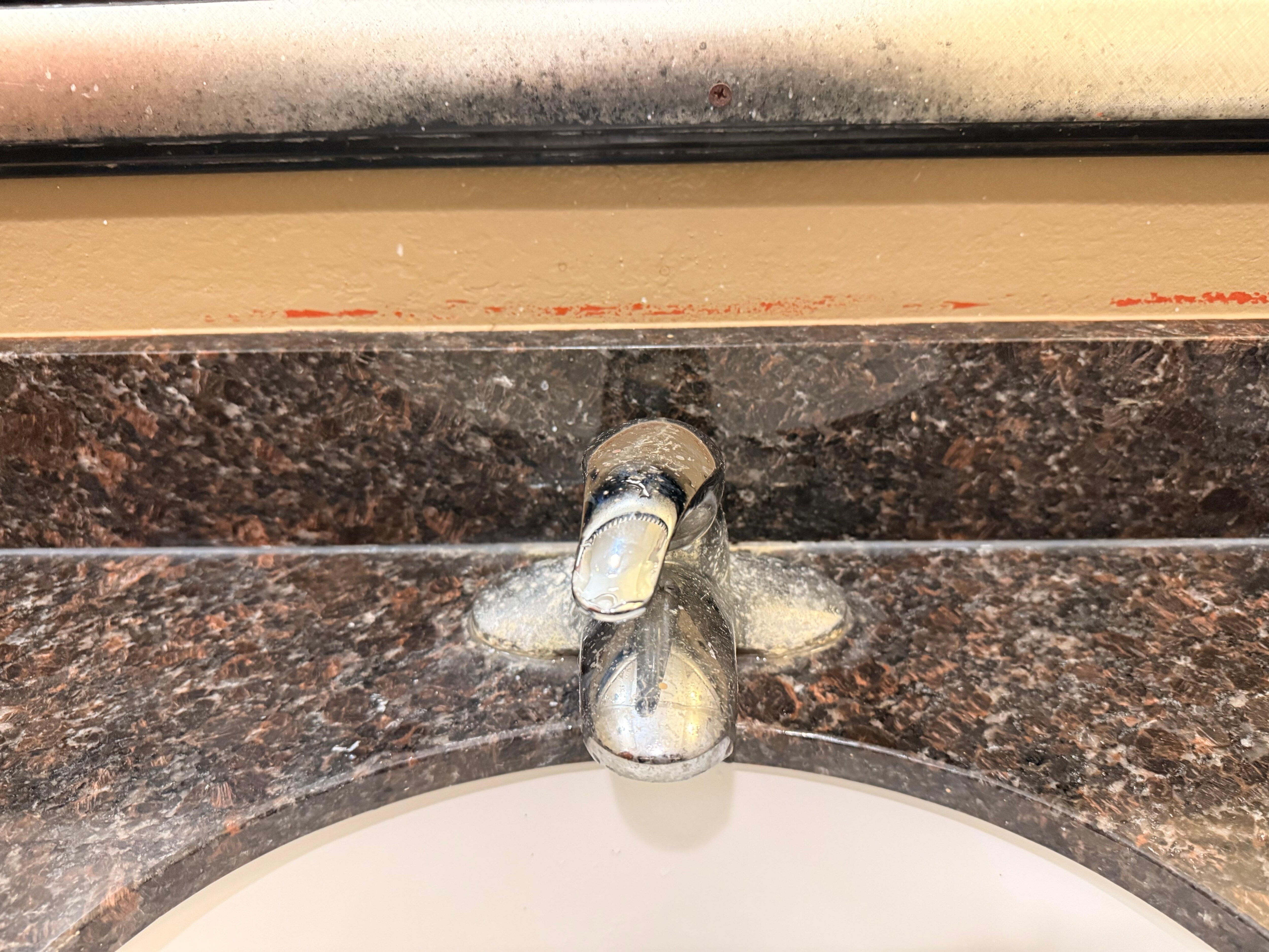 The sink. I think you can see the issue