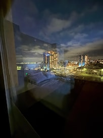 Goodview