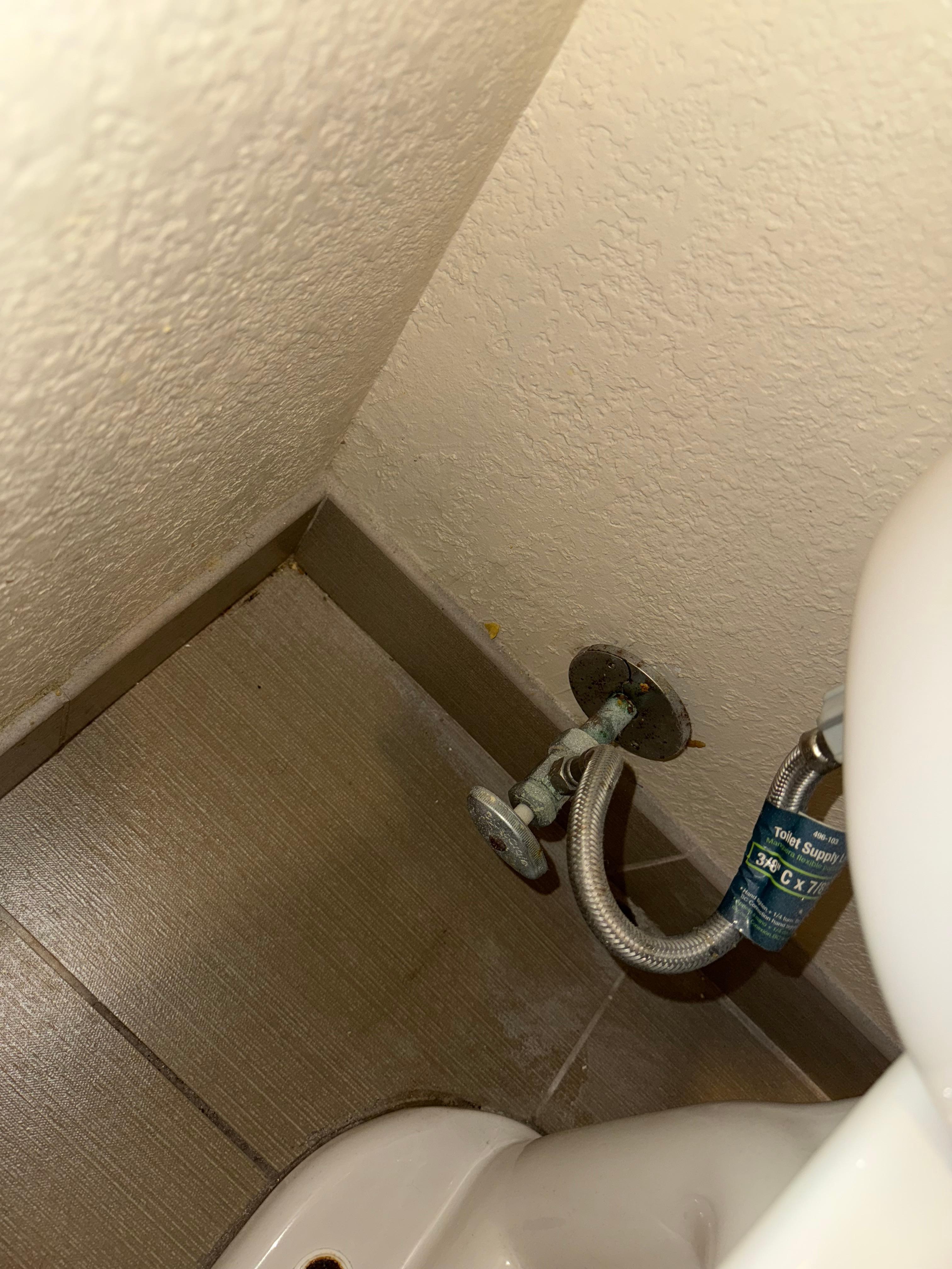 This is particles of trash in the corner of the bathroom floor.