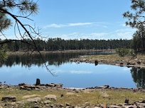 Willow Springs Lake
