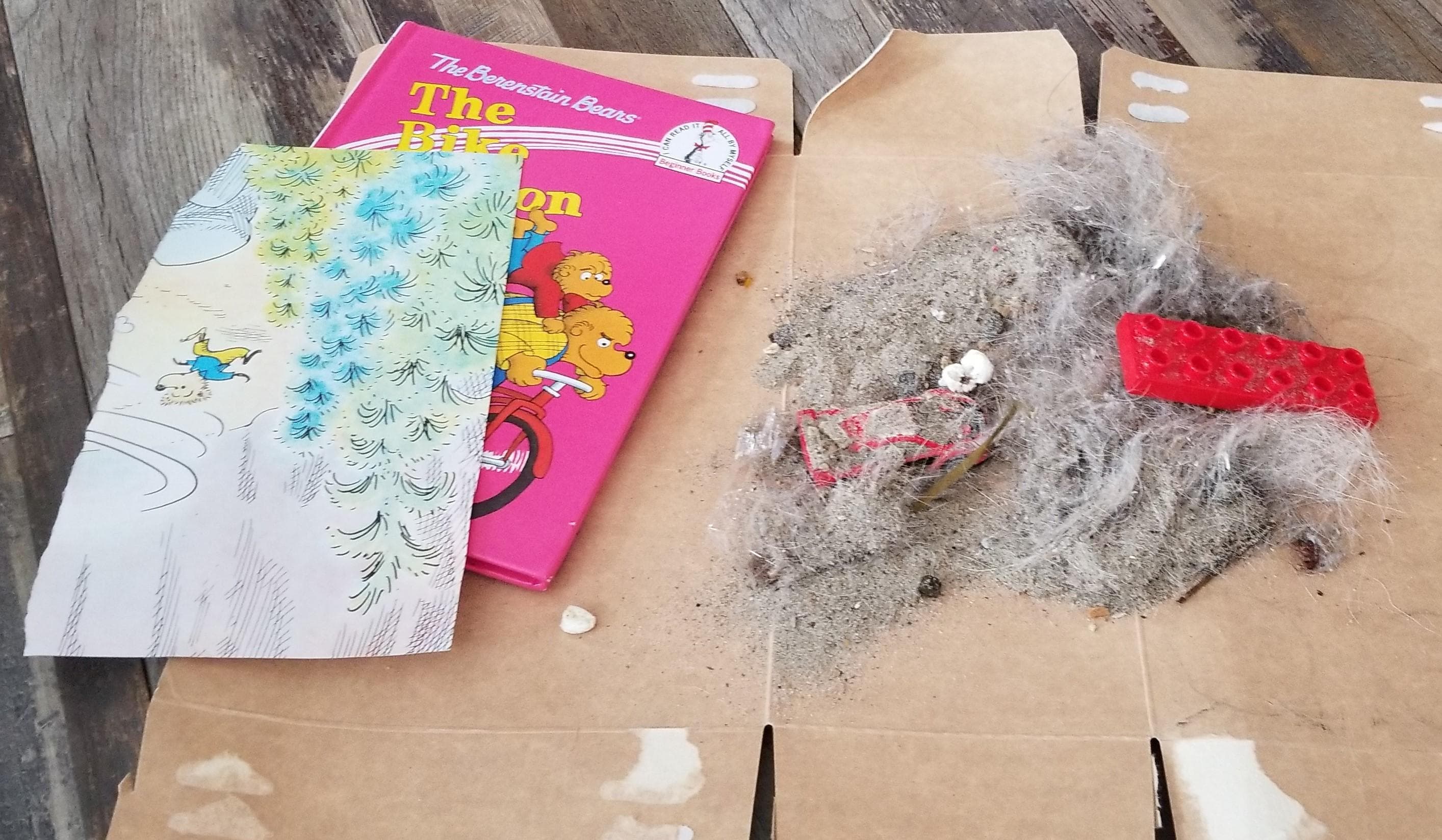 Debris swept from the three bedrooms. Including the toys found under the bunkbed. The other two rooms had beds that sat directly on the floor. 