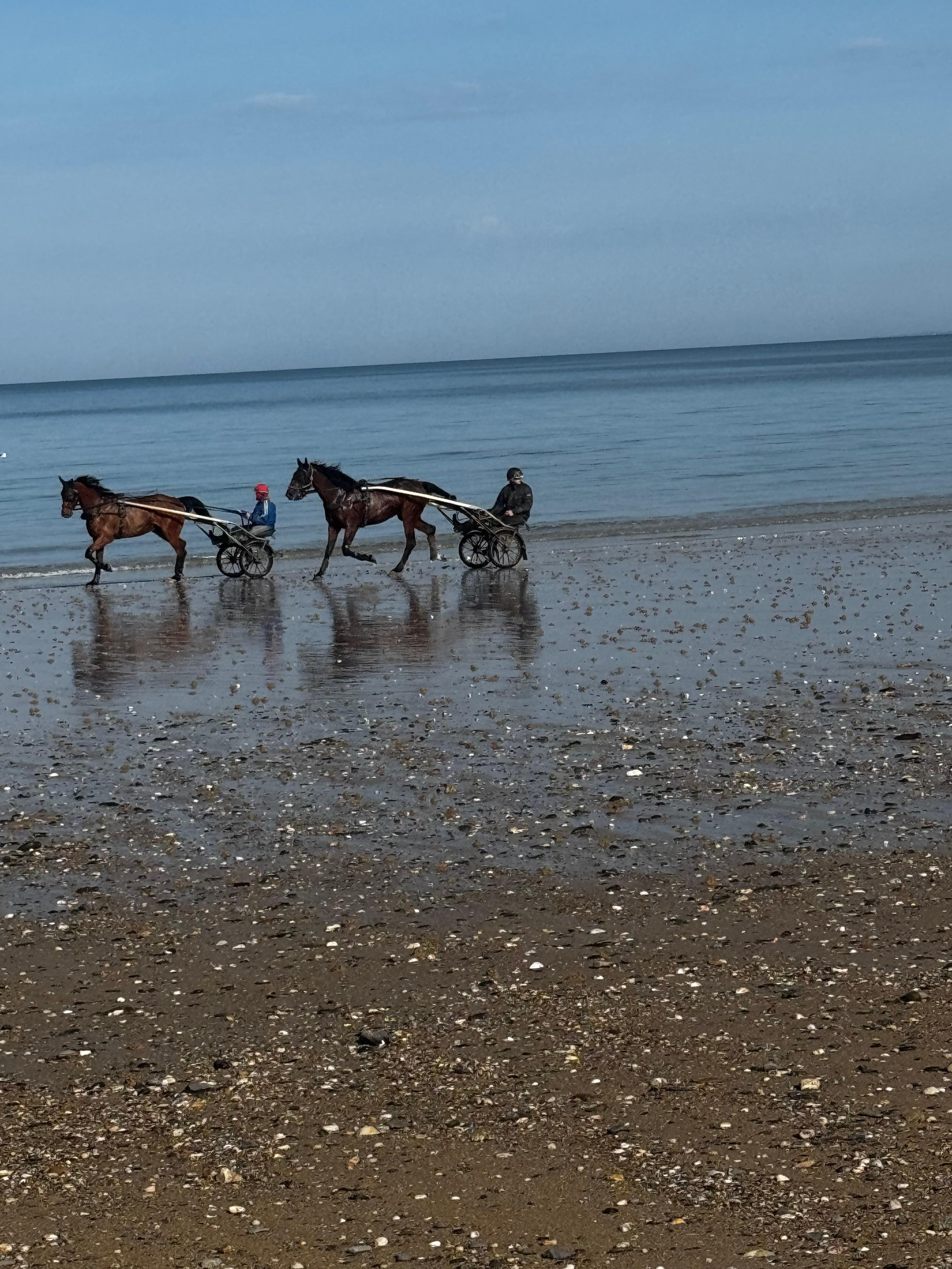 Horse carriages on the beach