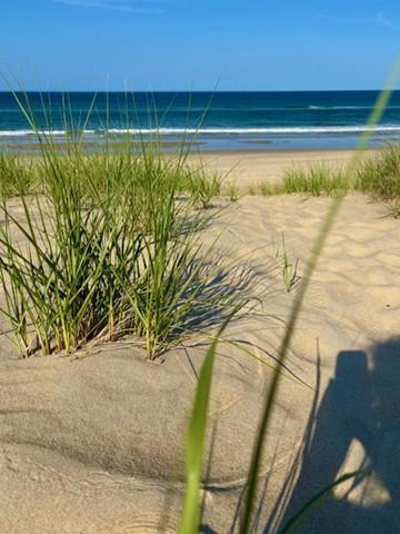 Path to beach