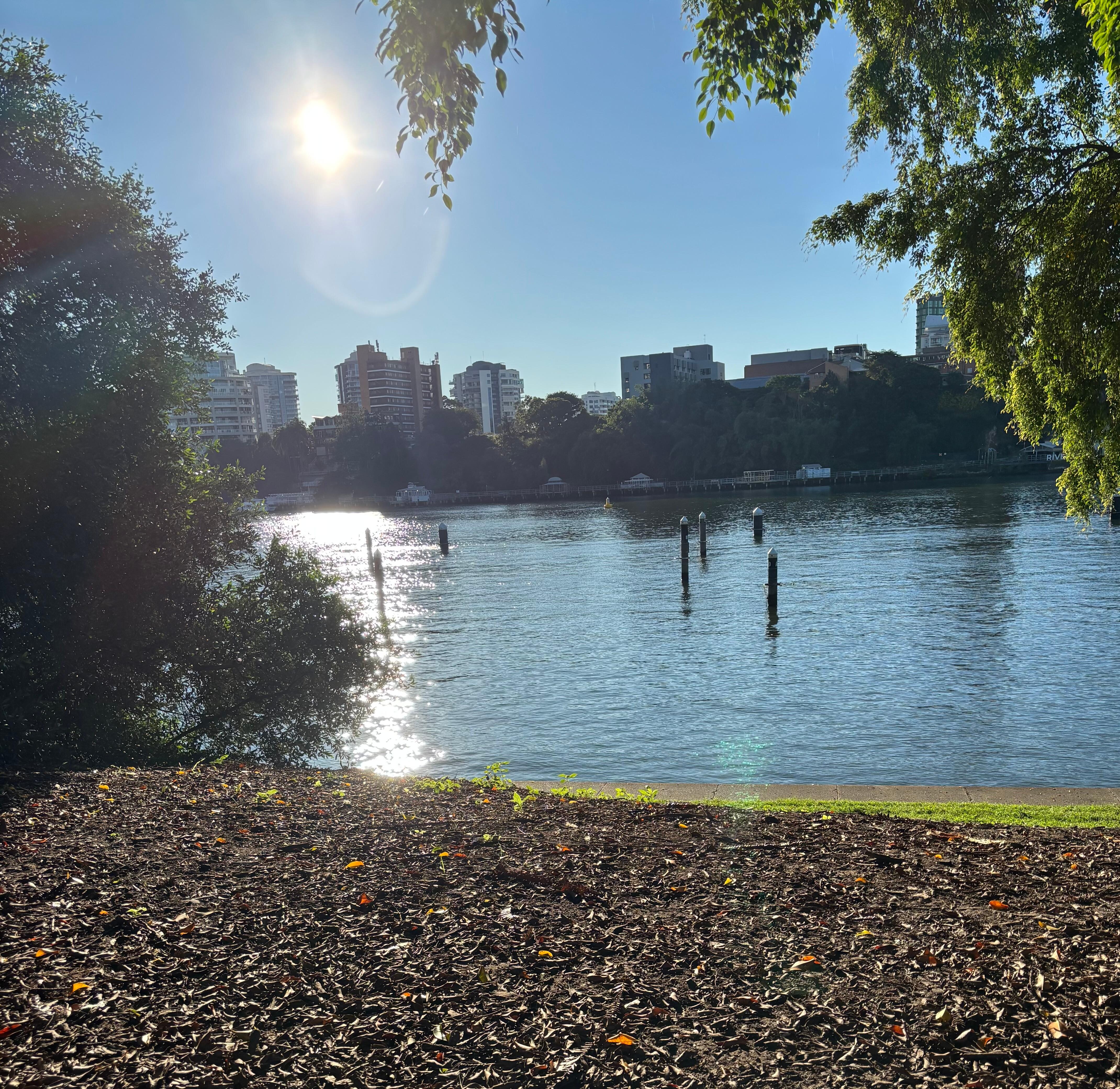 Botanical gardens and Rivernear Royal on the park hotel in Brisbane