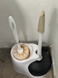 Dirty toilet brush; gross.