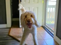 He was very excited!