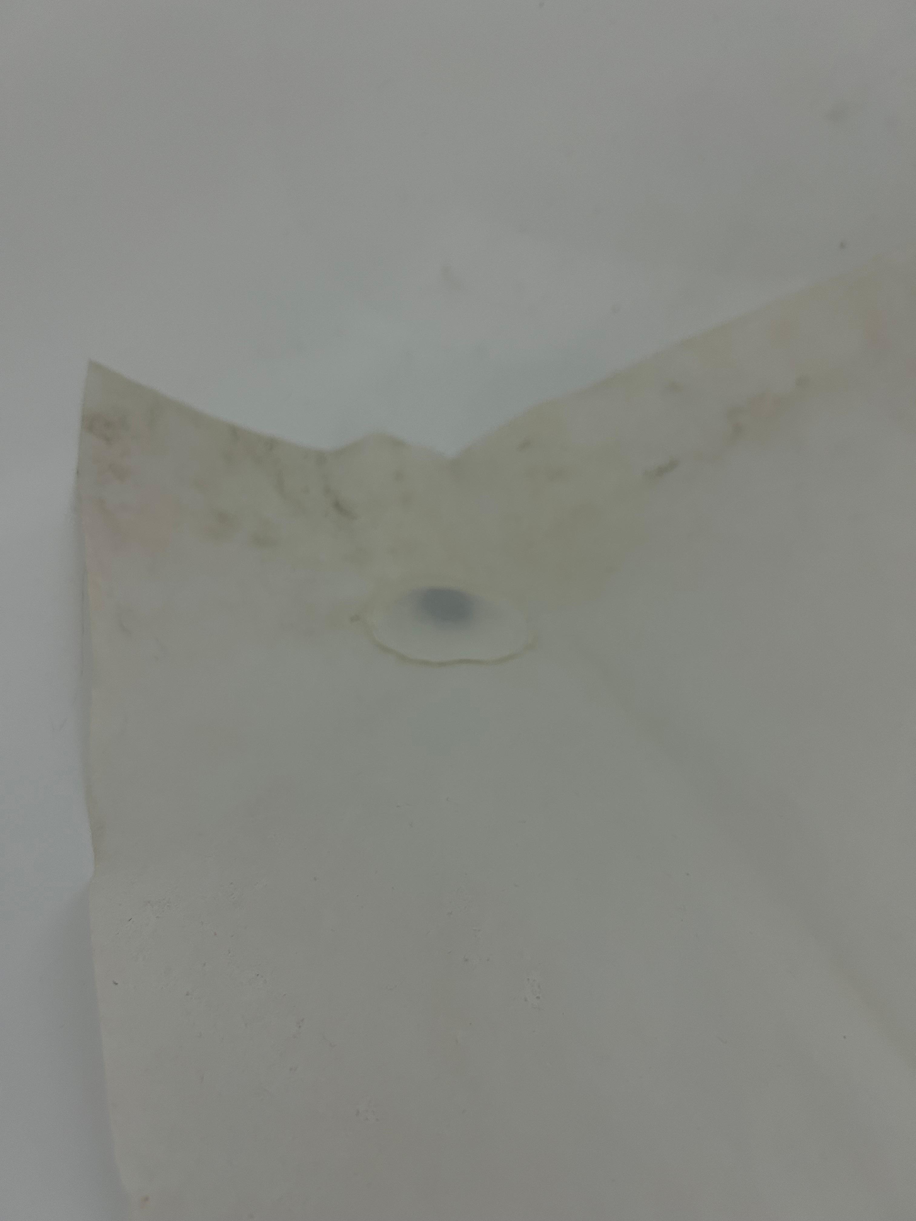 Dirty shower curtain with mold at bottom 