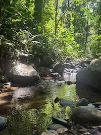 Nice stream at the bottom of the trail.