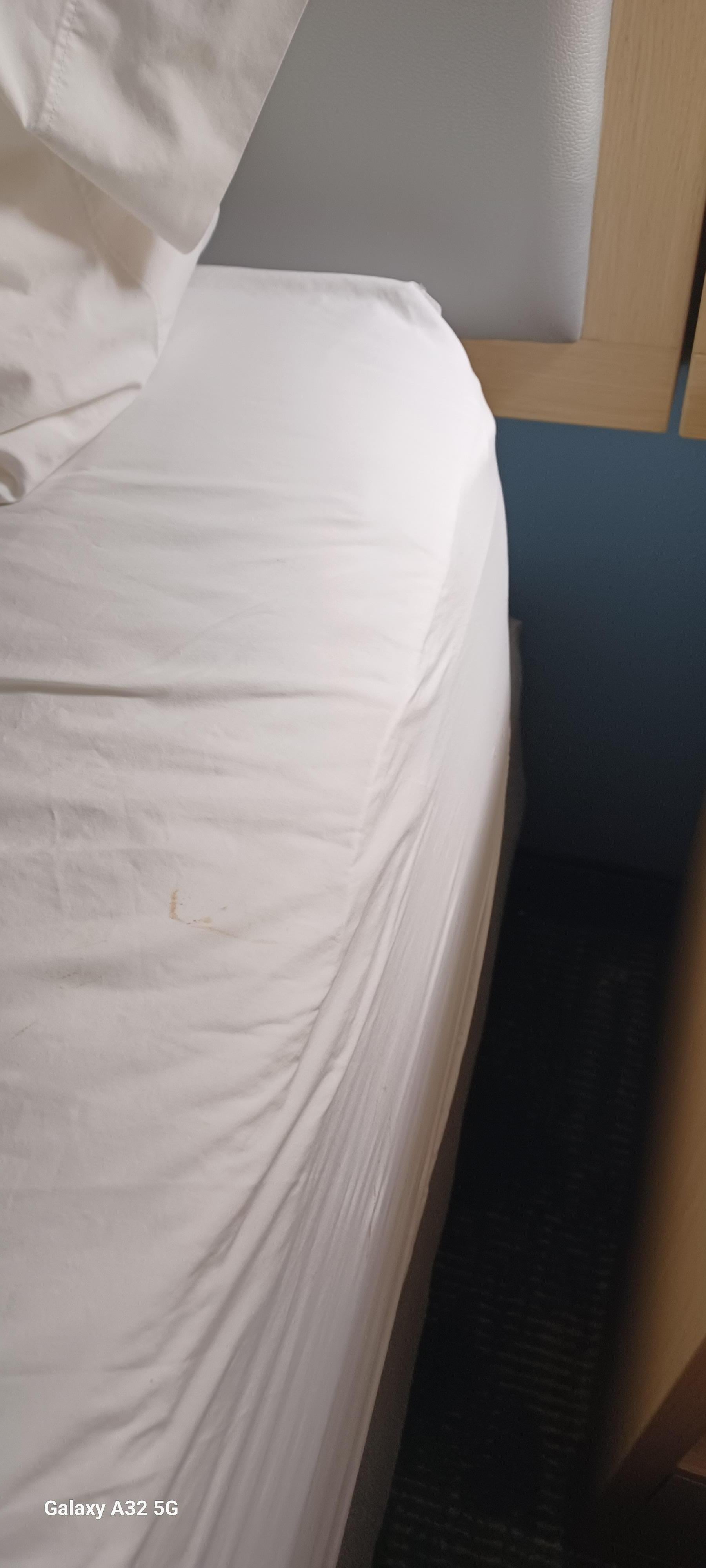 Food scraps on sheet