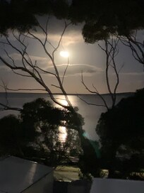 Moon view