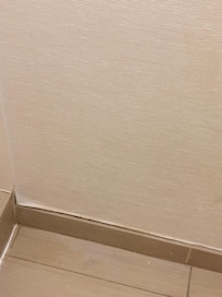 Wall behind shower door also water damaged