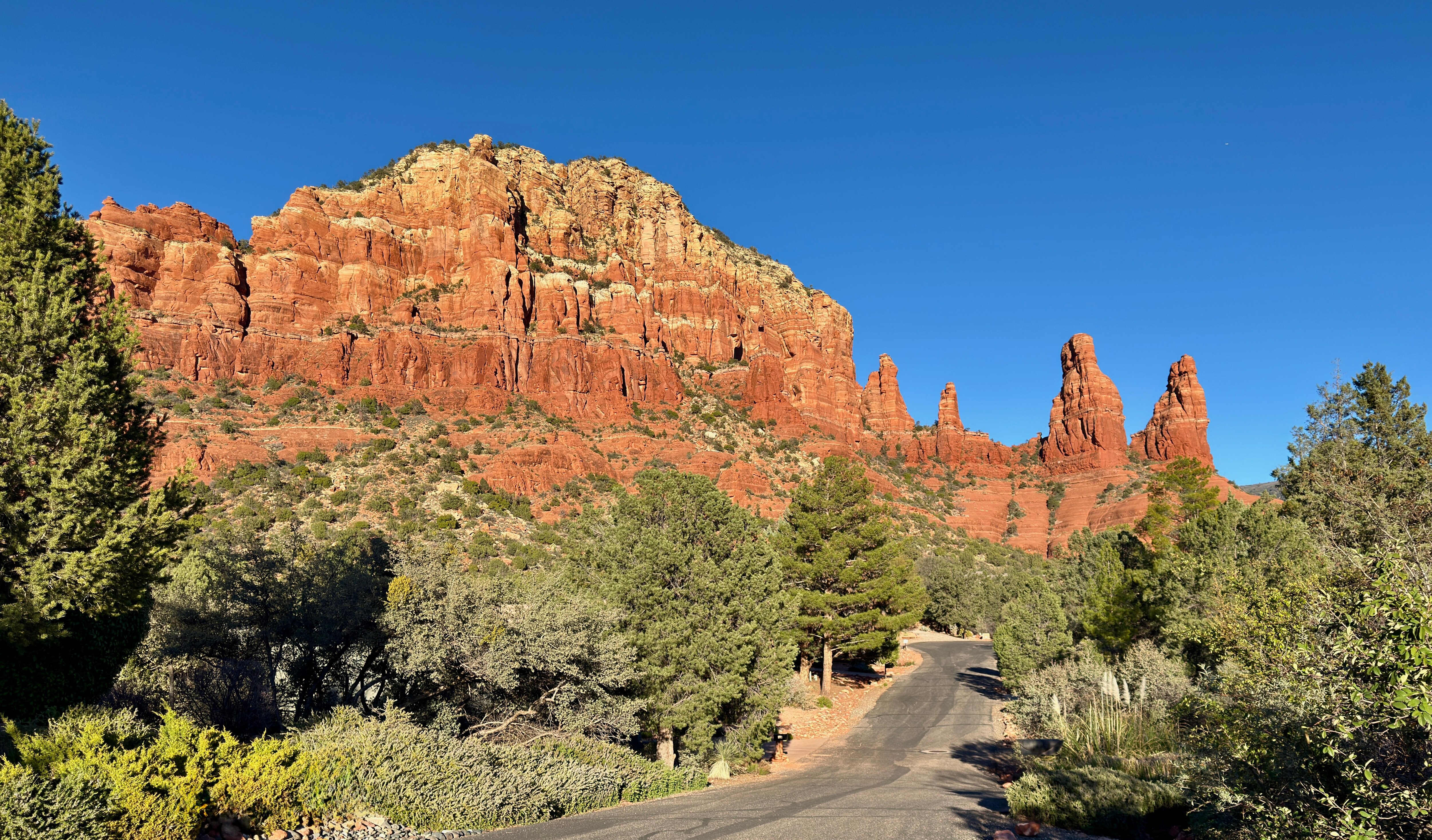 View from the neighborhood.