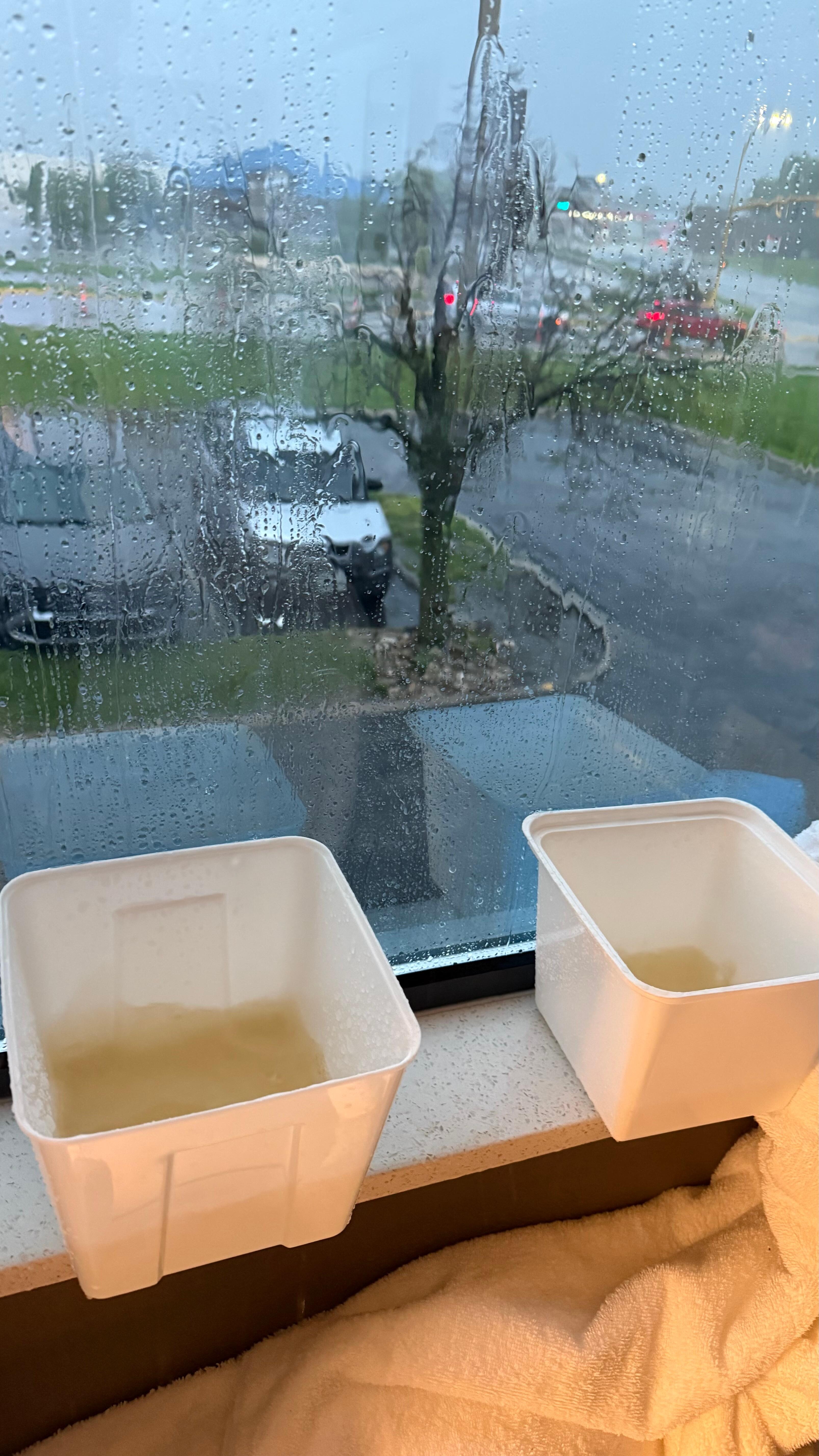 Filling ice buckets from rain inside window
