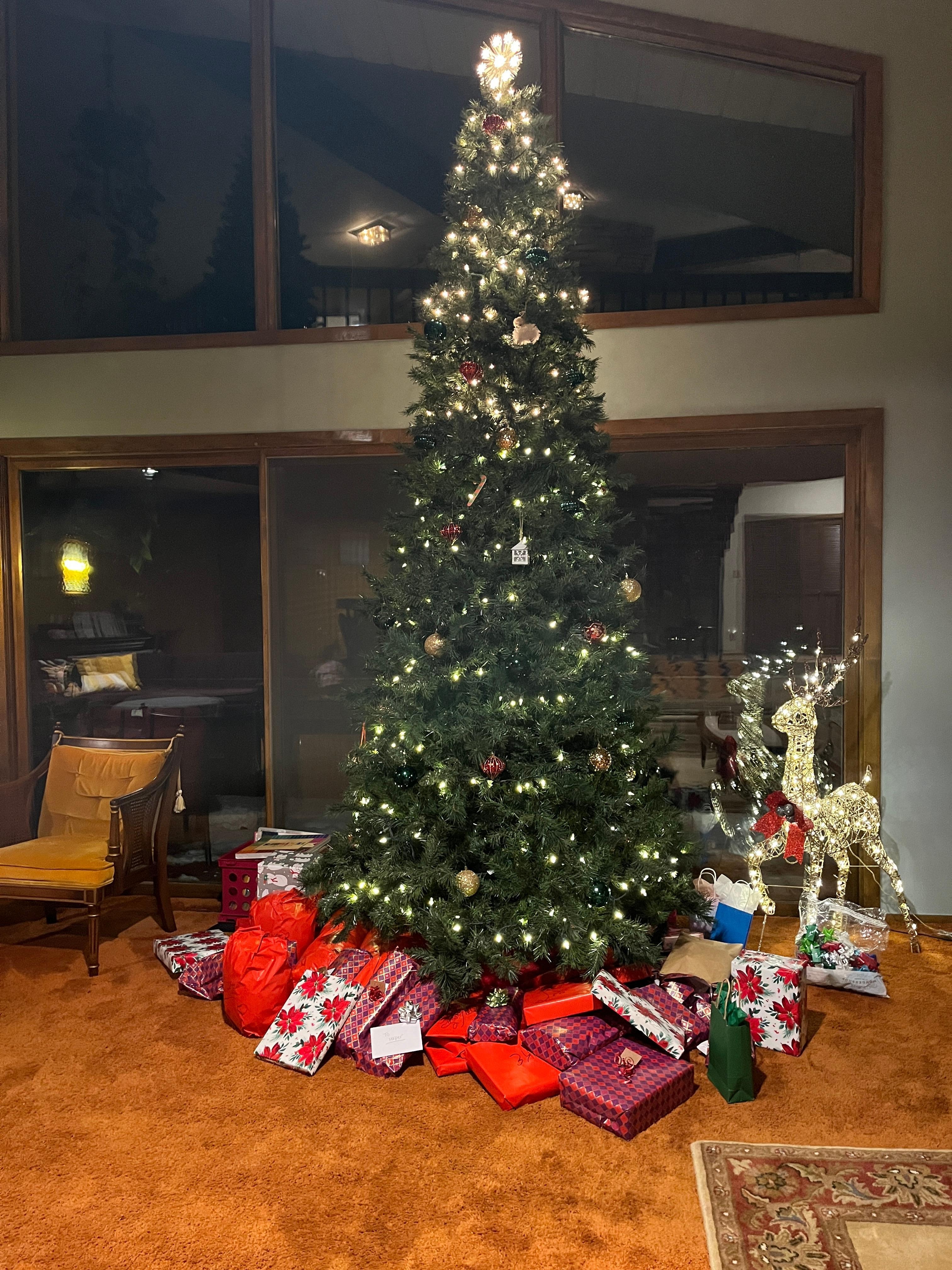 The home was decorated for Christmas and had 3 Christmas trees. 