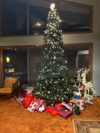 The home was decorated for Christmas and had 3 Christmas trees.