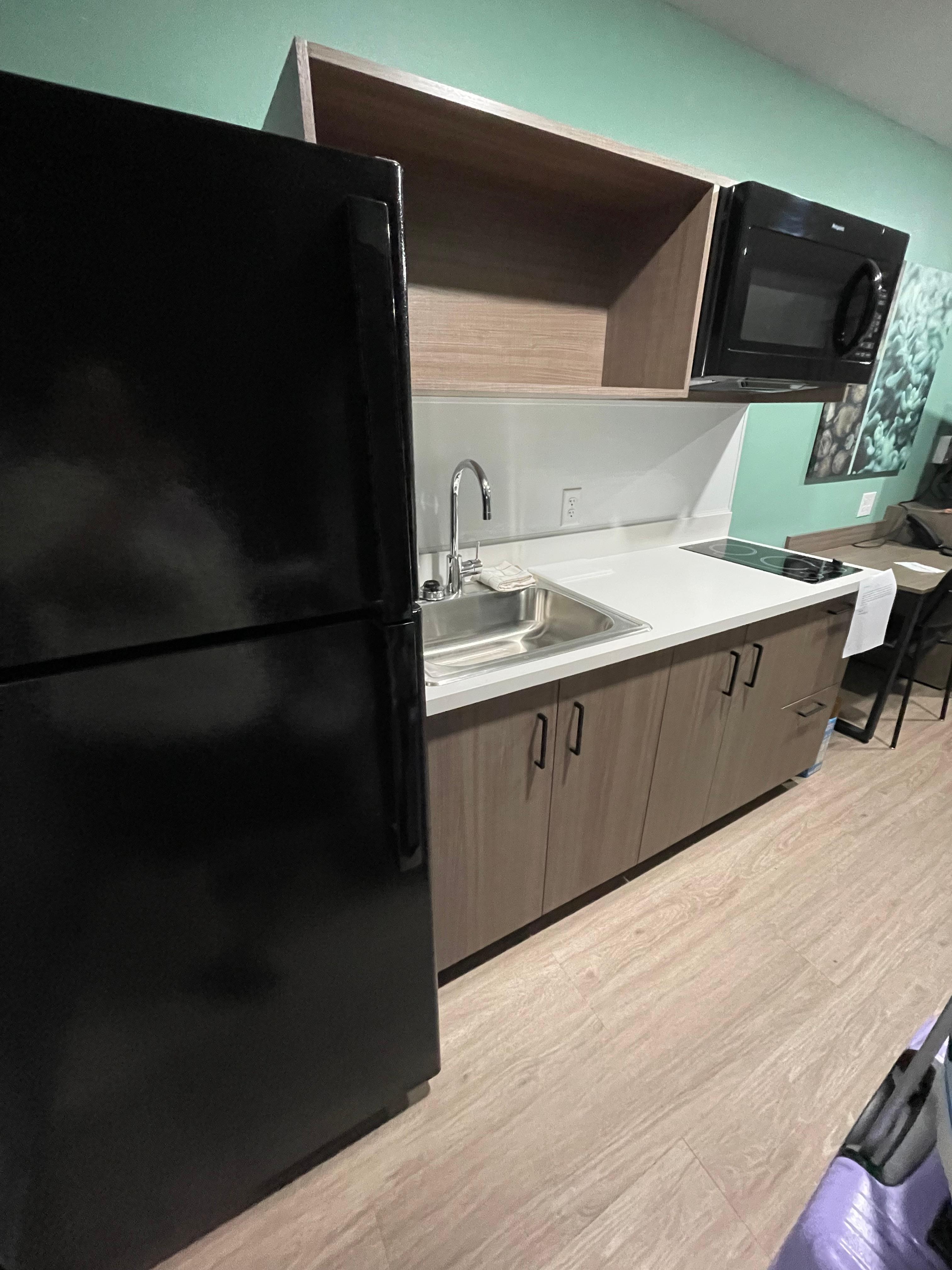 Big fridge, good microwave 