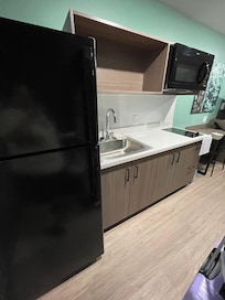 Big fridge, good microwave