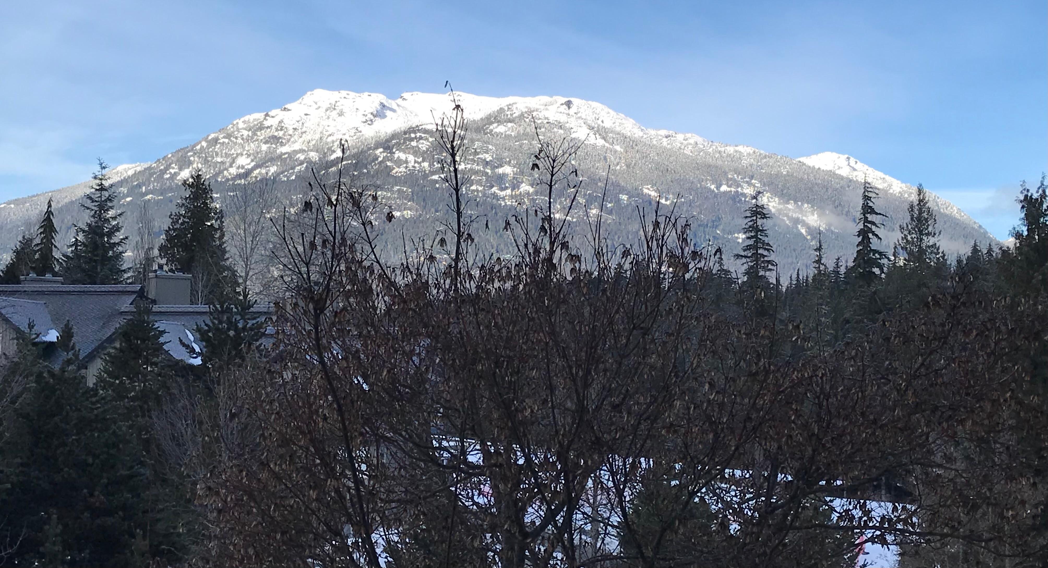 View from main window