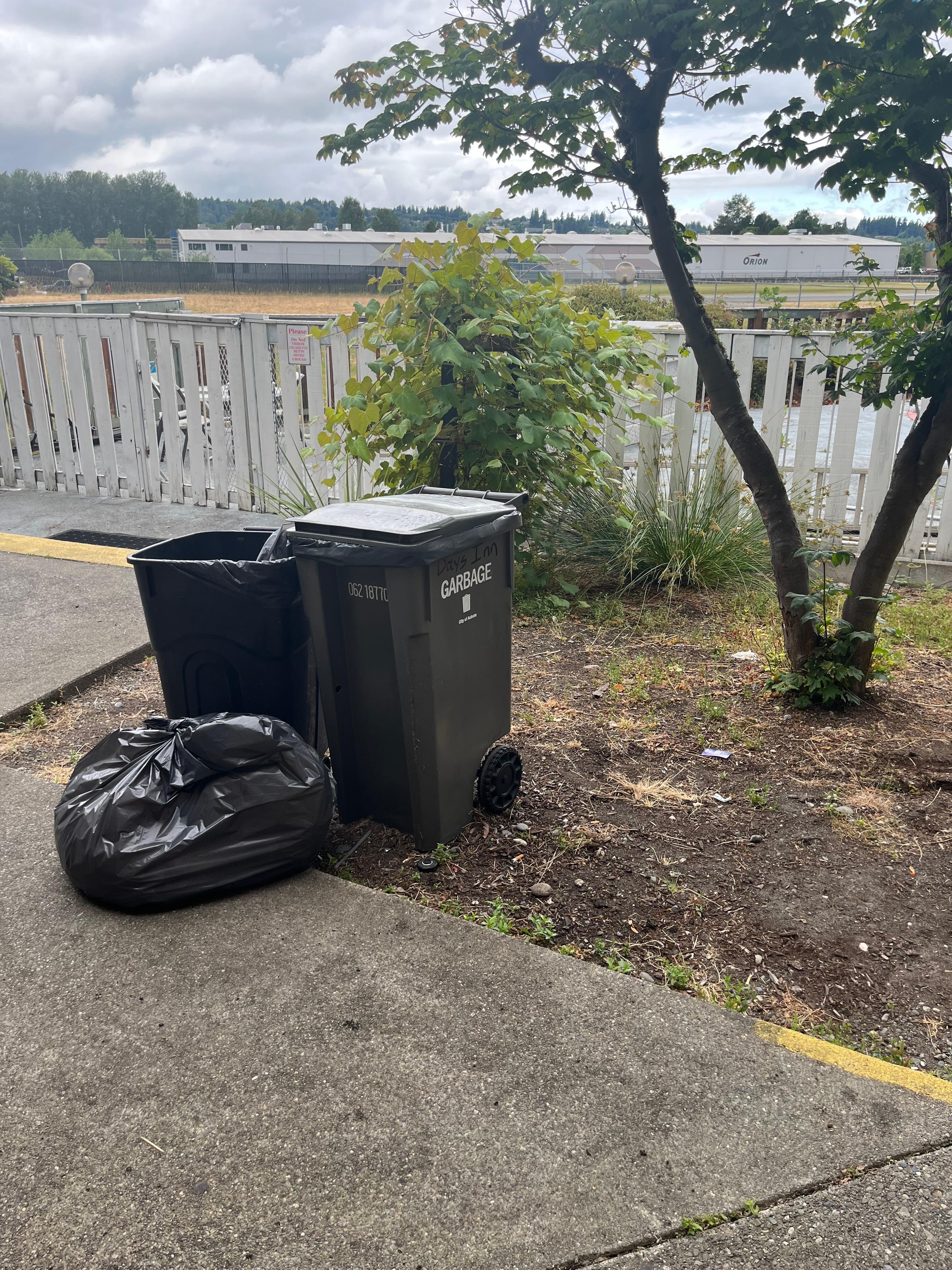 Can’t post video but this is first morning. 2nd morning 5 more bags 