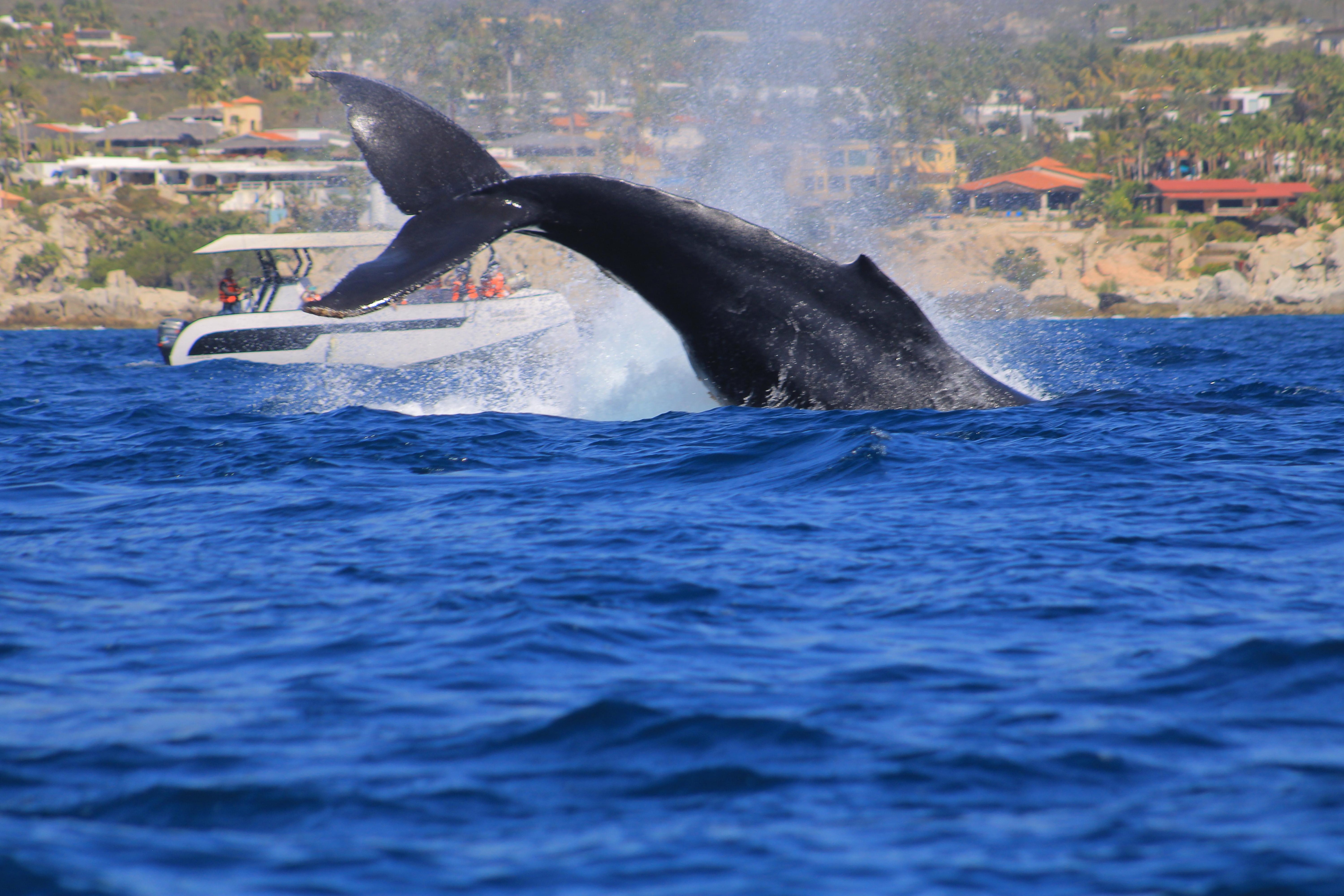 This view from our room was amazing 