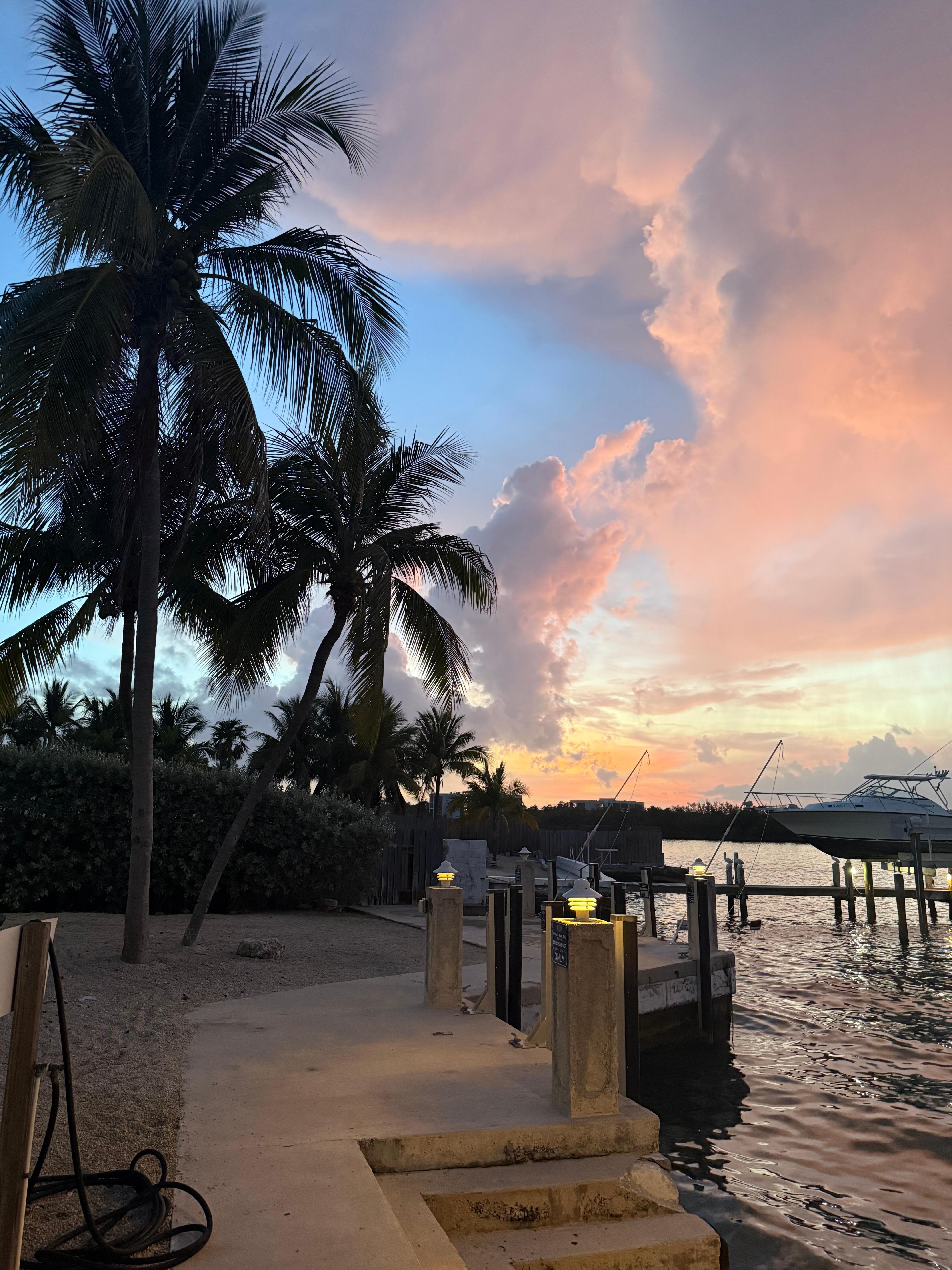 Yellow tail sunset. 
