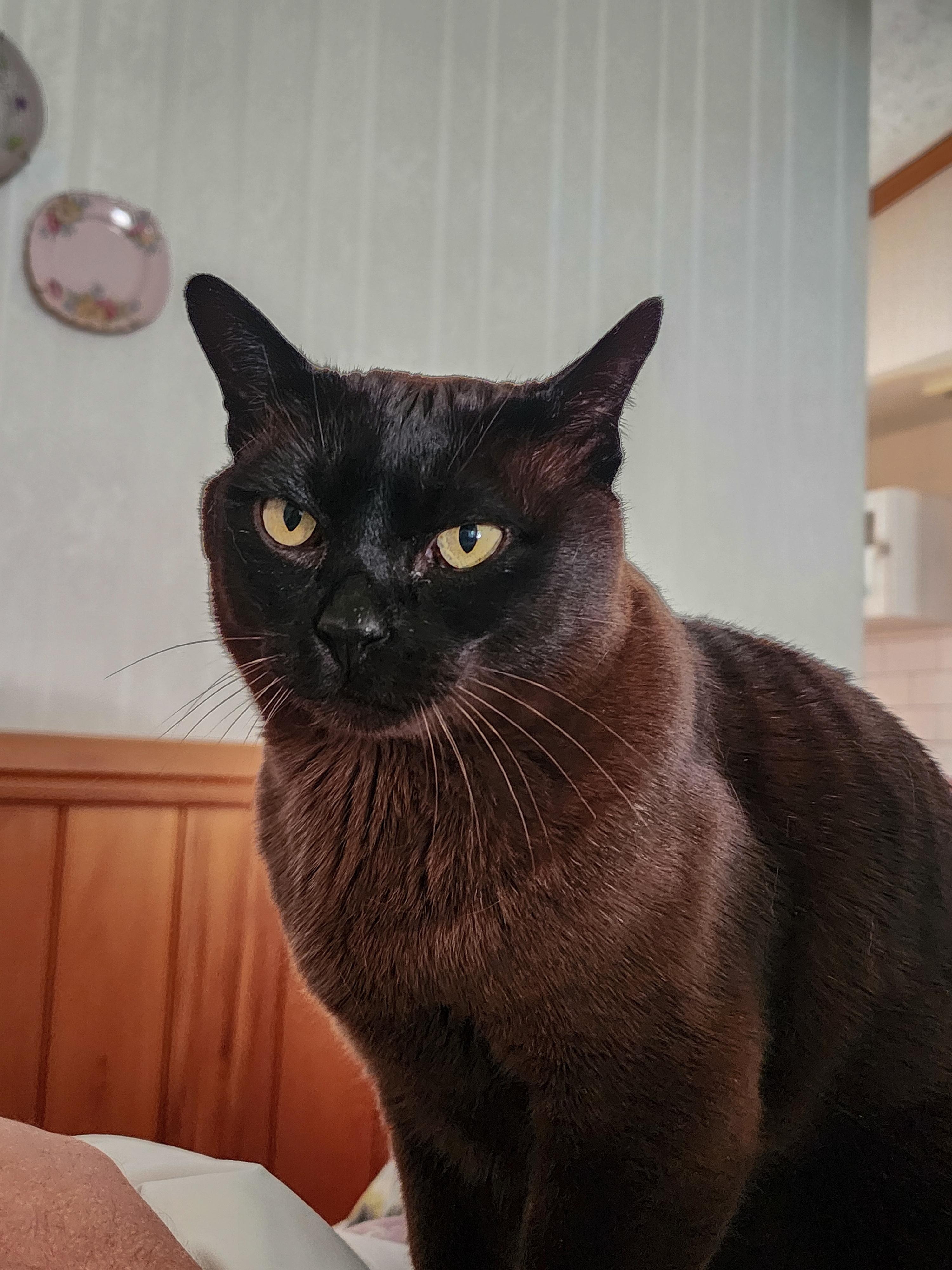 Charlie - our new best friend! 