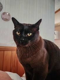 Charlie - our new best friend!