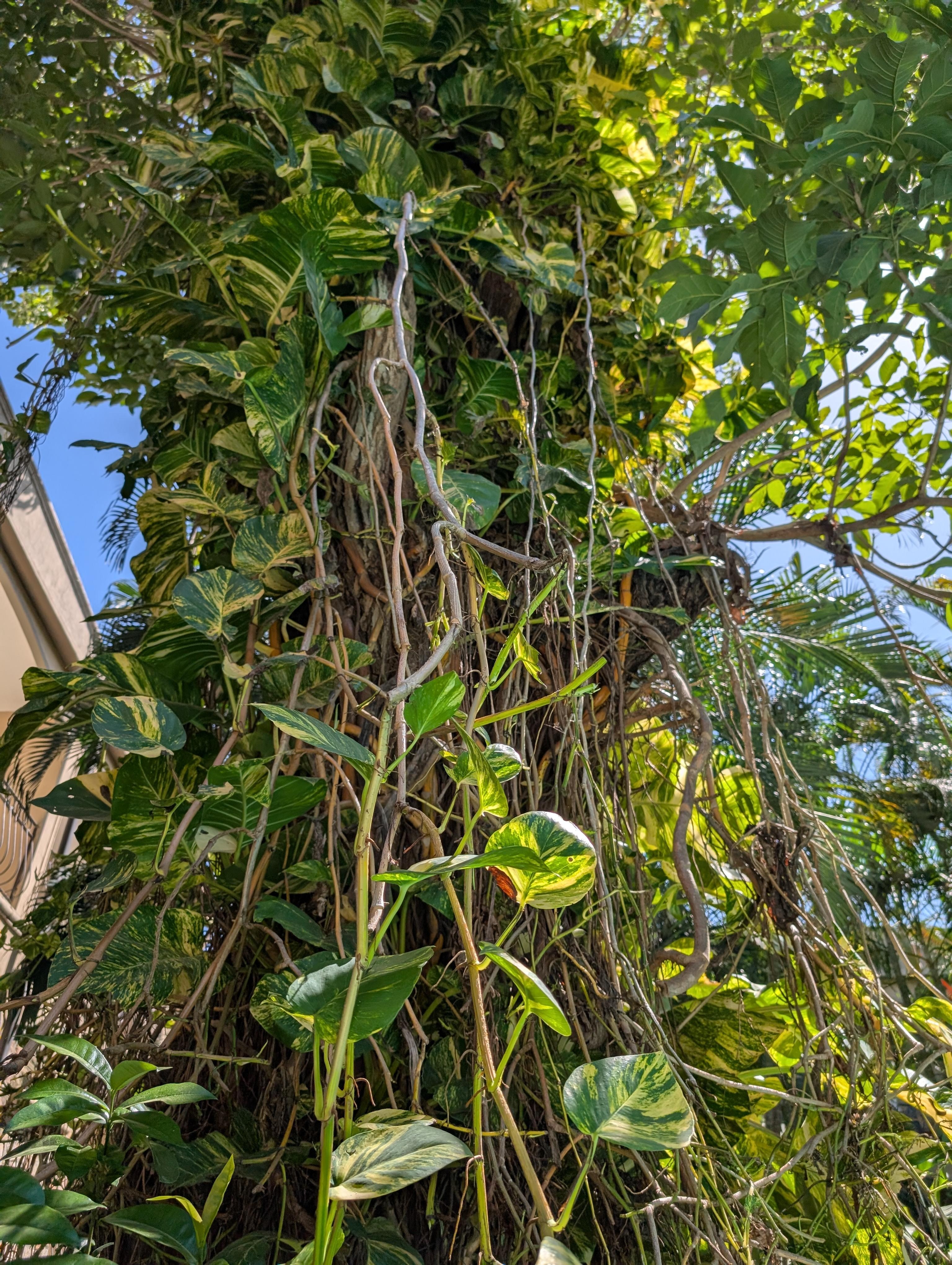 Loved all the landscaping in the courtyard 