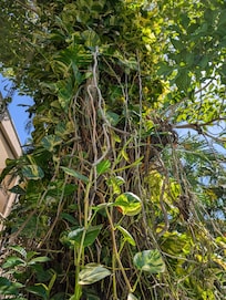 Loved all the landscaping in the courtyard