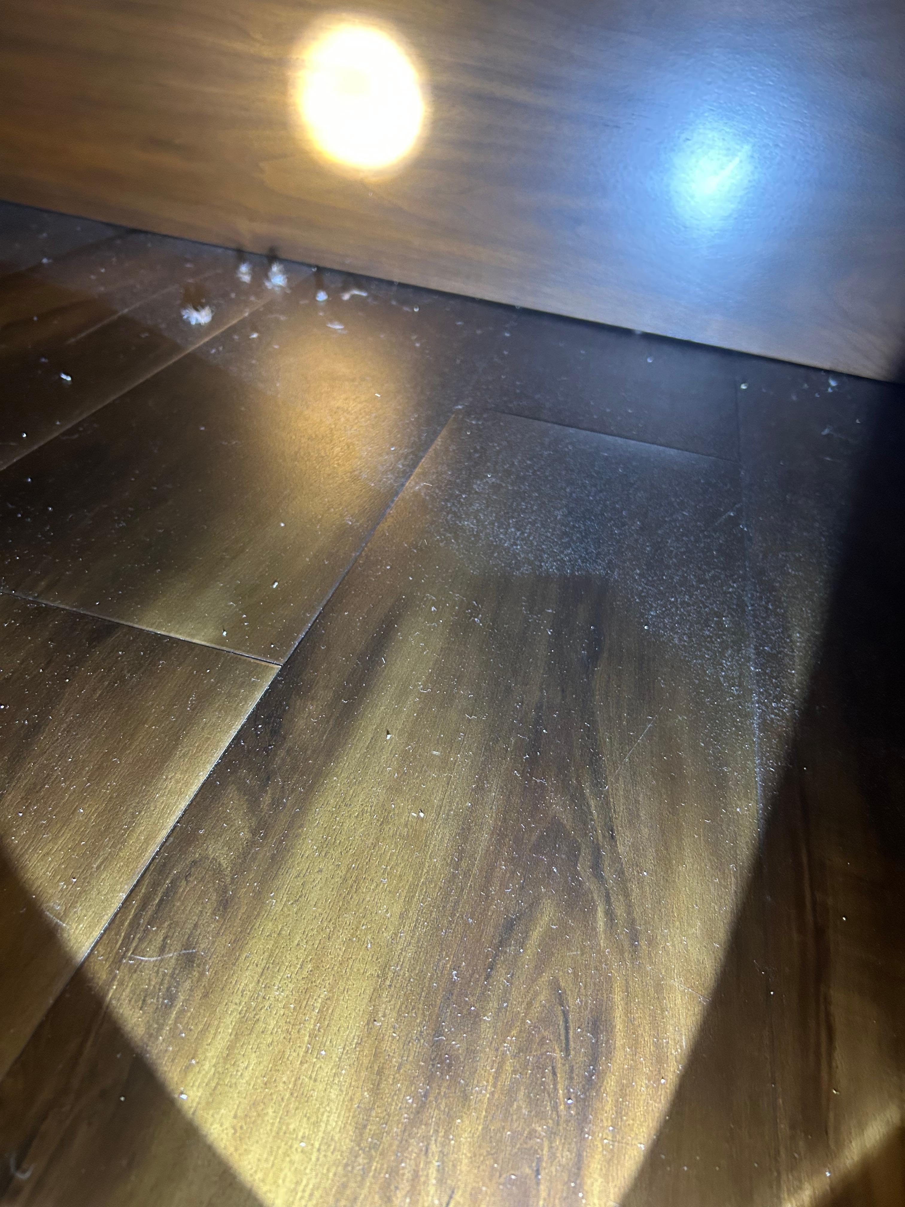 Filthy dirty dusty under bed smelt like human dhit in room
