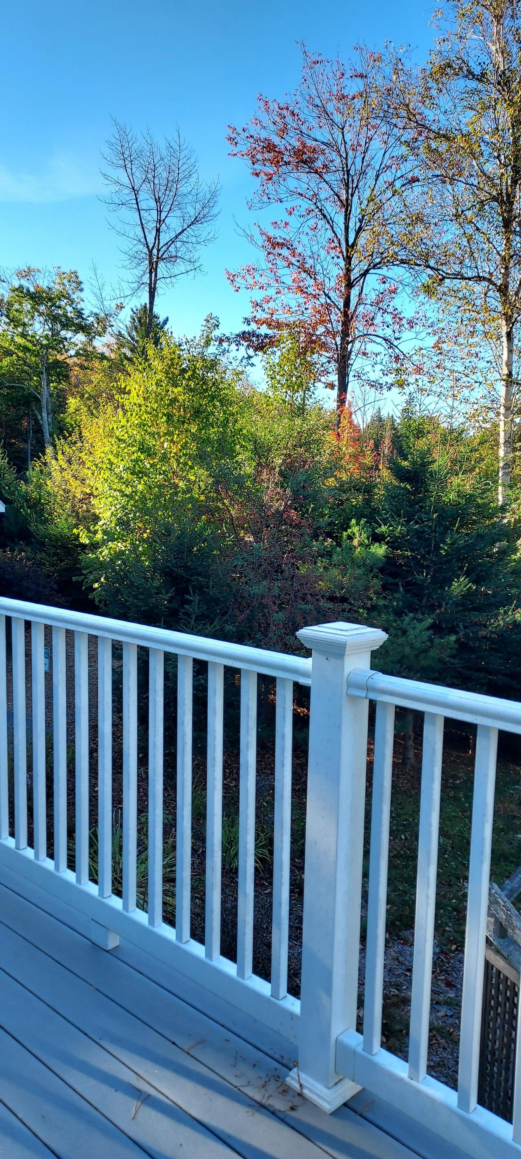 View off the 2nd floor deck. Amazing. 