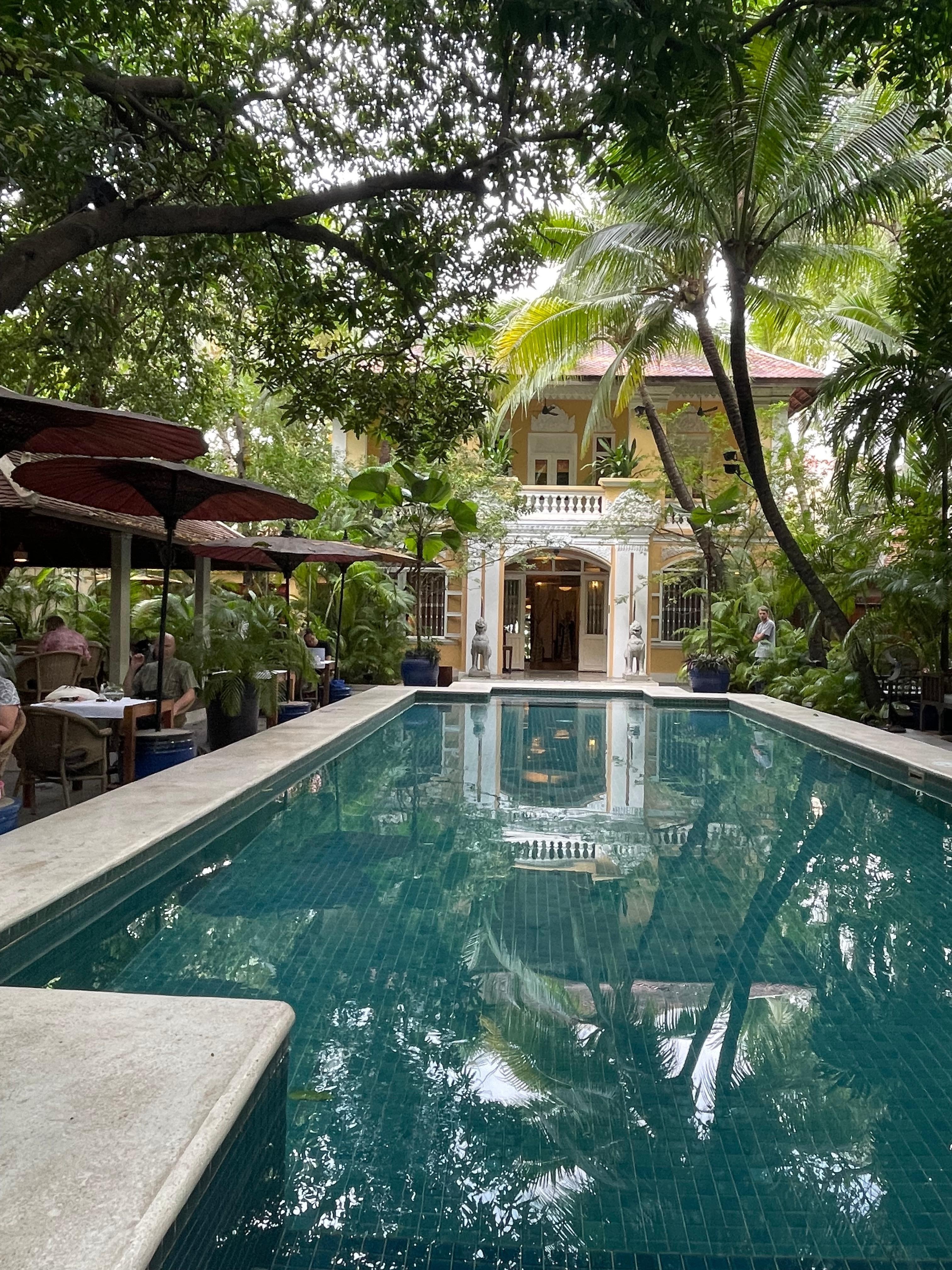 Tranquility and lush calm by the front pool 