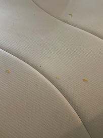 Crackers under the sheets after removed