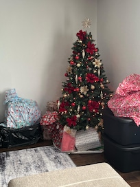 Decorated for holiday as we were there the weekend after Christmas!