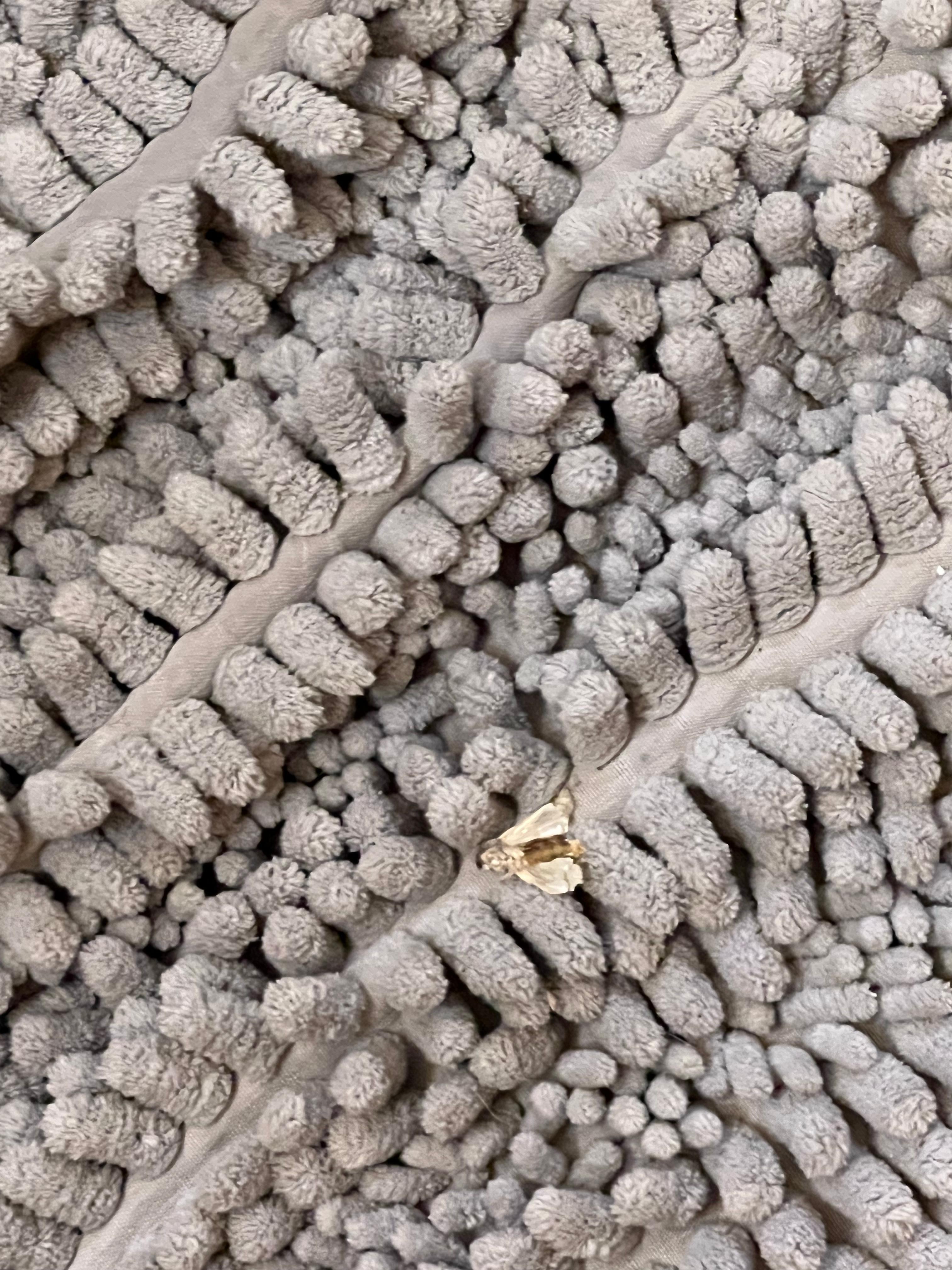 Welcome guest when getting out of the shower