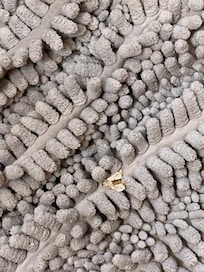 Welcome guest when getting out of the shower