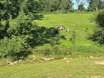 scene from back porch