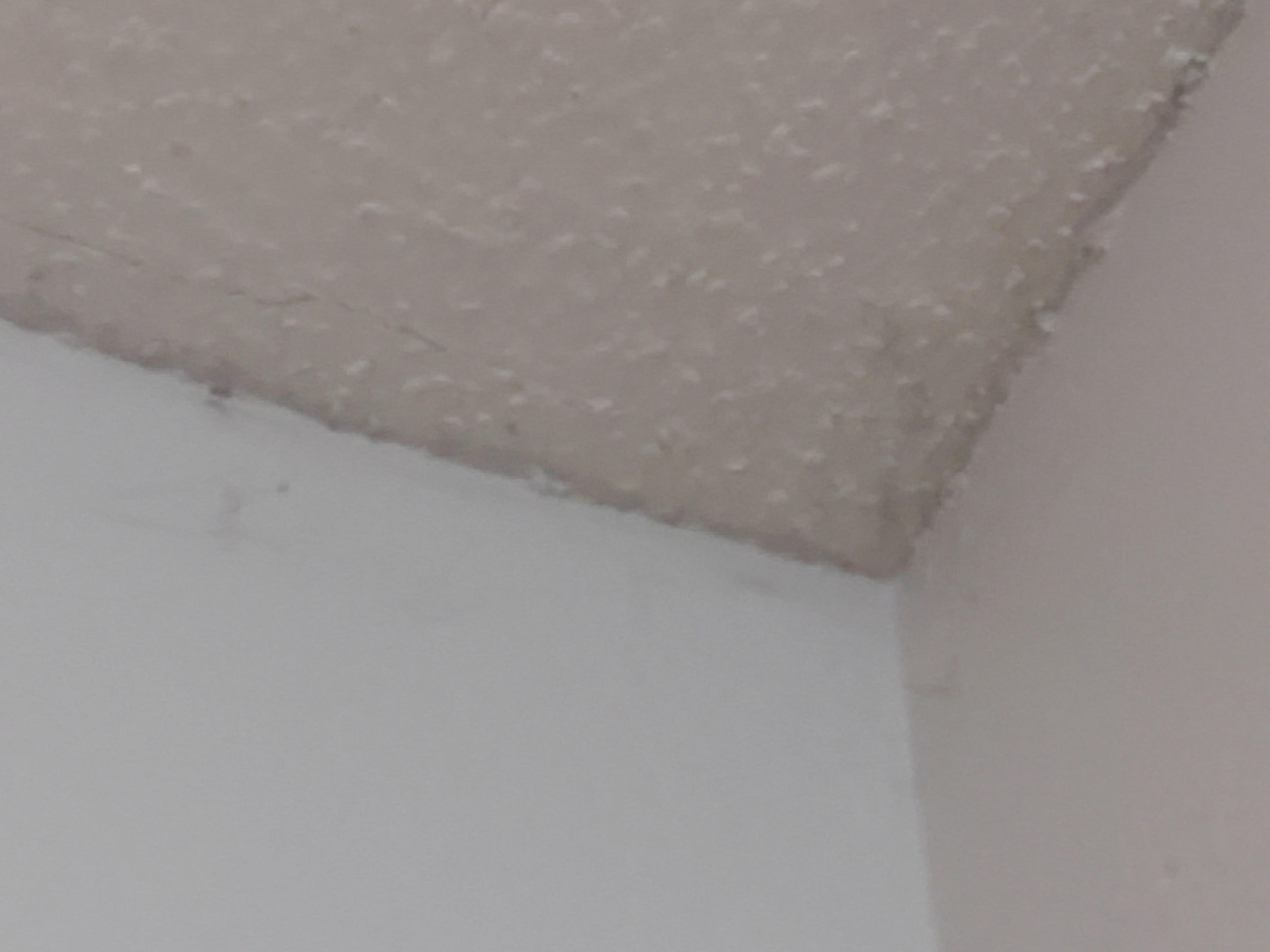 Mold around ceiling