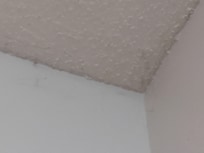 Mold around ceiling