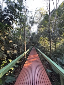 You really feel like you’re in the middle of jungle. Very relaxing