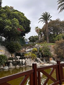 In the hotel garden